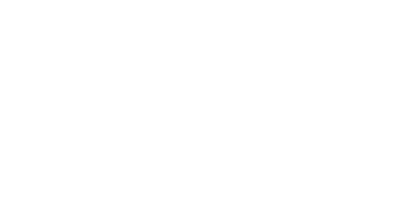 Capitale Auto Shine